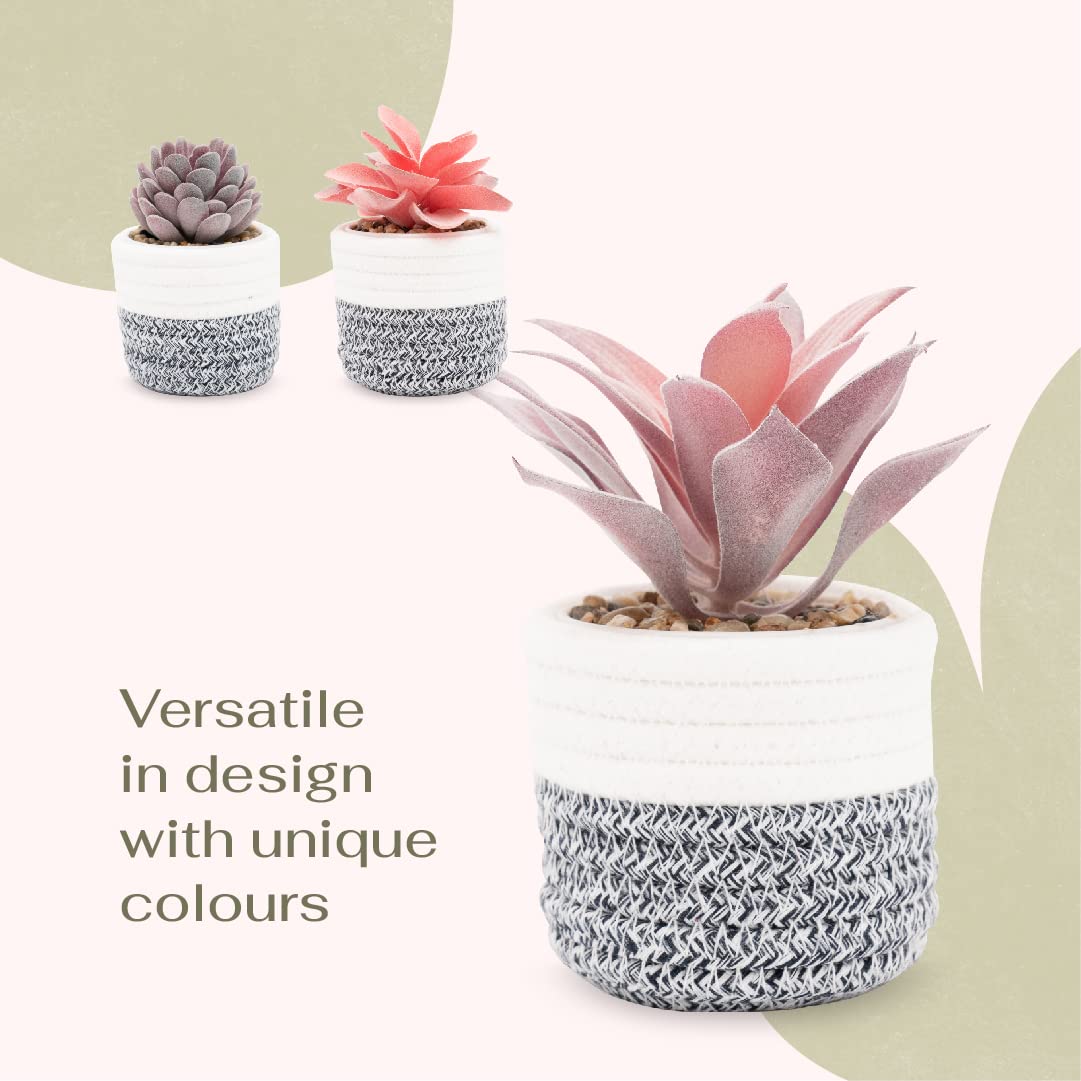 3Pcs Fake Succulent Plants in Boho Rope Basket Set - Farmhouse Faux Cactus Decor for Home, Office, Bedroom, Bathroom, Kitchen & Shelf - Perfect for Boho, Farmhouse & Modern Interior Design Styles