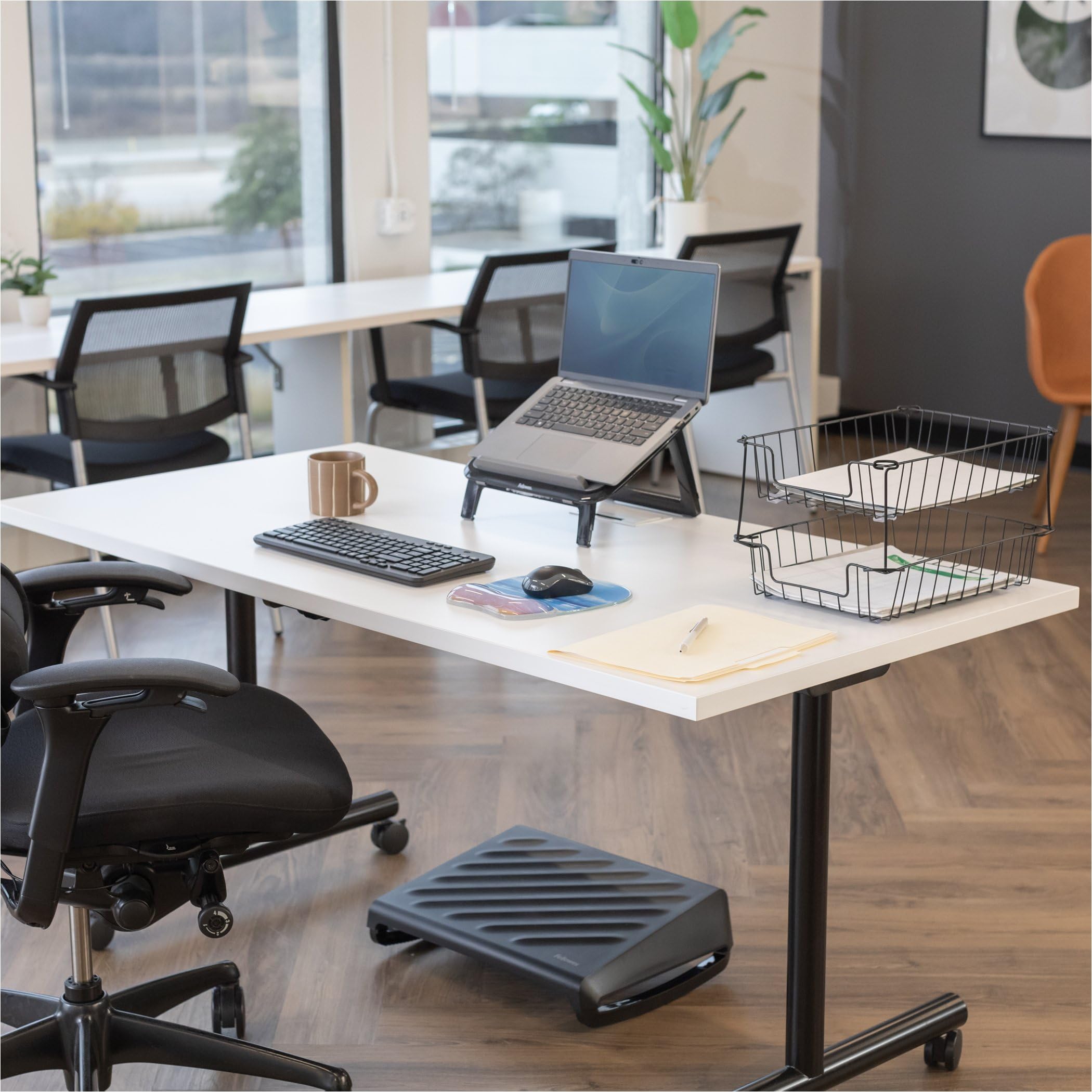 Fellowes 3