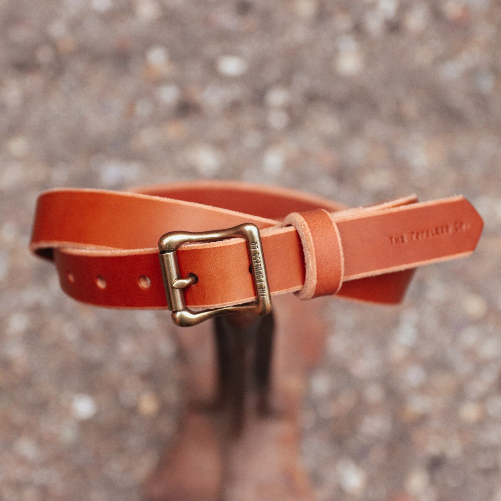 Lenny Rio Latigo - Premium Leather Dog Collar for Medium & Large Breeds | Durable & Stylish for Training, Walks & Outdoor Adventures