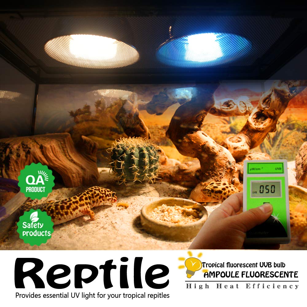 10.0 UVB Reptile Light Bulb 13W - UVA/UVB Desert Lamp for Bearded Dragons, Turtles, Snakes, Geckos & Lizards - Compact Fluorescent Terrarium Lighting with Free UV Tester Card - Ideal for Desert Habitat Reptile Tanks & Vivariums