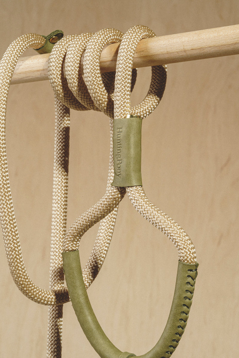 Premium Makarony Beige Rope Leash & Green Collar Set for Dogs – Durable, Stylish Walking Kit for Small & Medium Breeds – Perfect for Outdoor Adventures, Training & Daily Walks