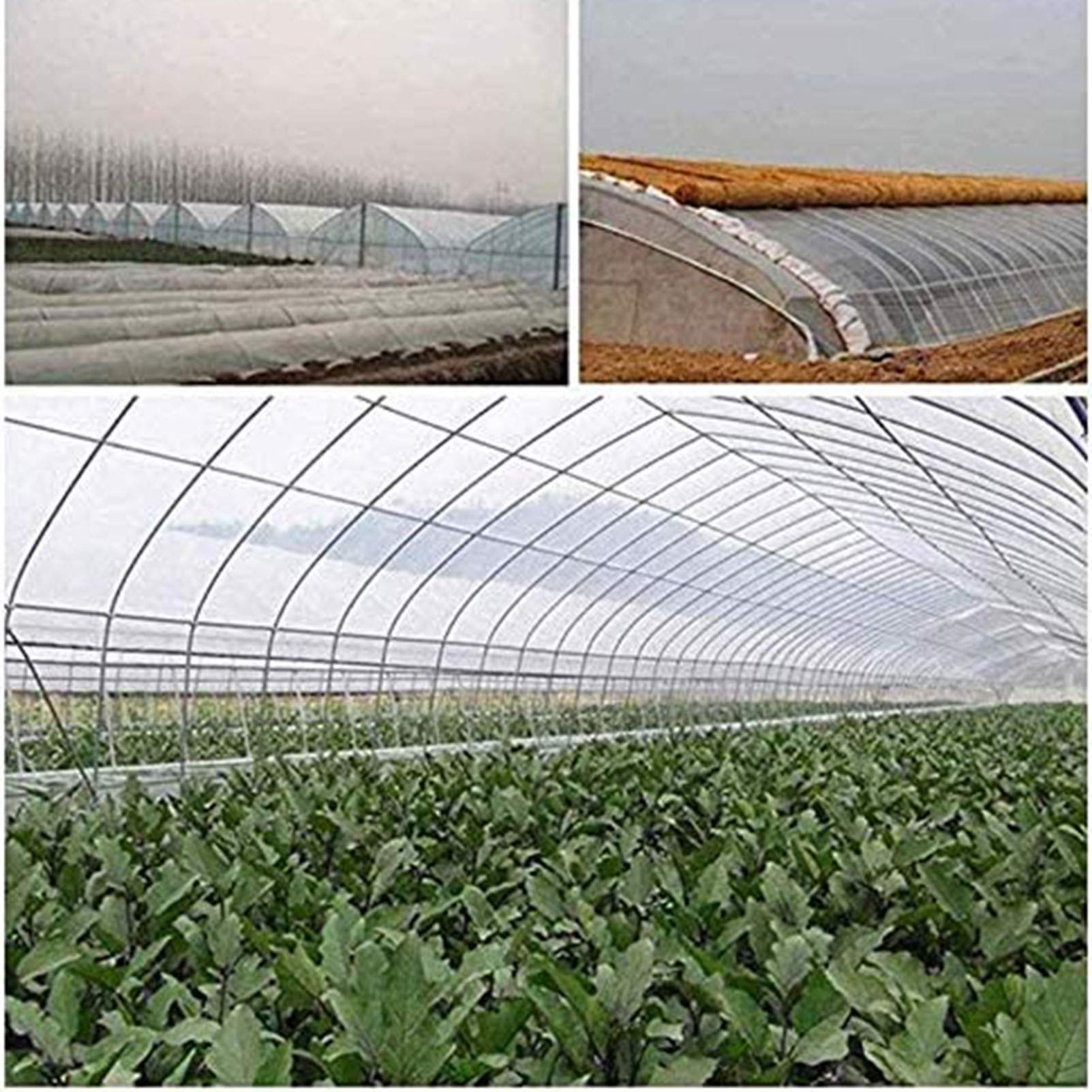 Heavy Duty Clear Tarpaulin Sheet 26x33ft - Waterproof Trap Cover for Camping, Fishing, Gardening | Durable Outdoor Canopy with Reinforced Eyelets | Perfect for Picnics, Boat Covers, and Plant Protection
