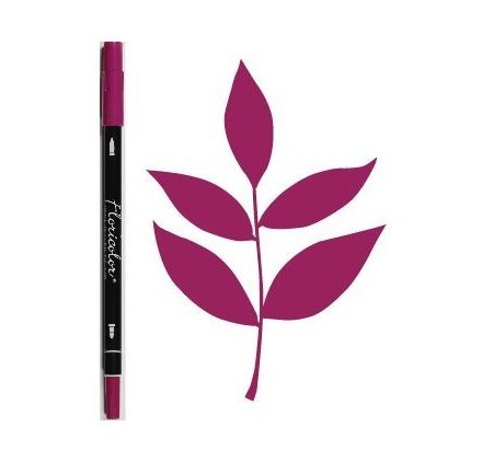 Fuchsia