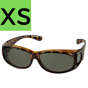 Xs Tortoise Frame With Smoke Lens