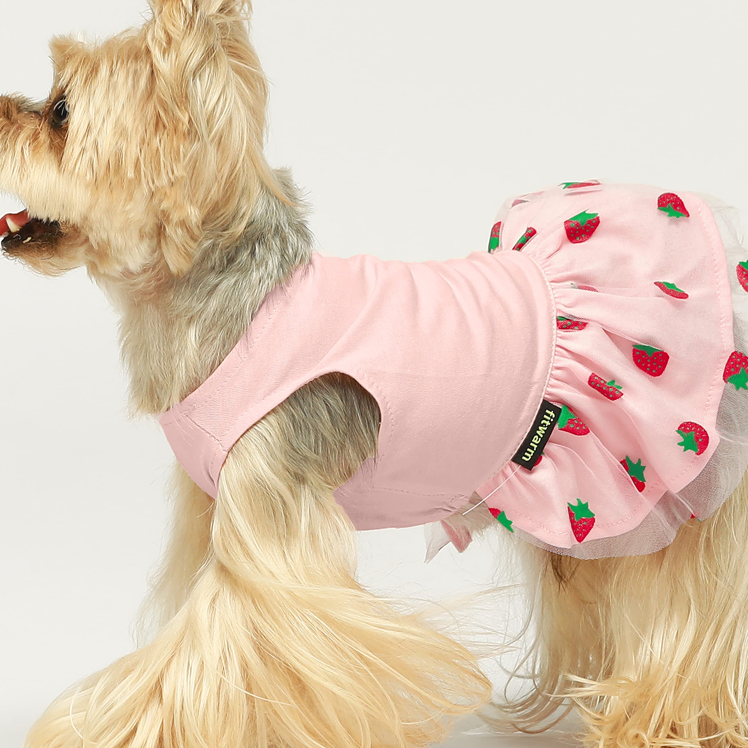 Fitwarm 2-Pack Summer Fruit Print Dog Tulle Dresses - 100% Cotton Pet Clothes for Small Dogs & Cats - Red & Pink Outfits - Perfect for Parties, Photos & Special Occasions