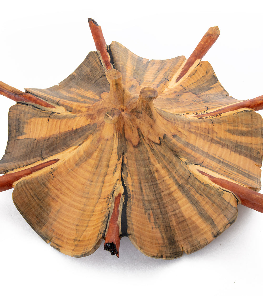 Handcrafted Norfolk Pine Wood Sculpture - Flora Flora by Dan Stevenson - Unique Home Decor & Gift for Nature Lovers
