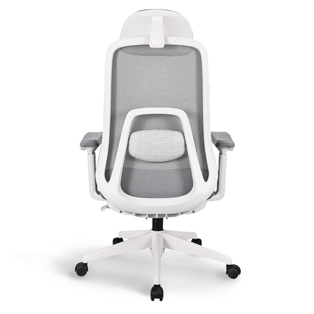 Pluto Ergonomic Office Chair - Adjustable Lumbar Support & Breathable Mesh Back - Perfect for Home Office, Gaming & Workspace