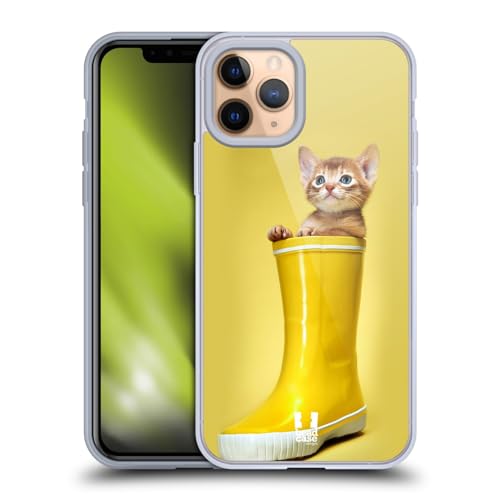 Abyssinian Kitty In A Boot