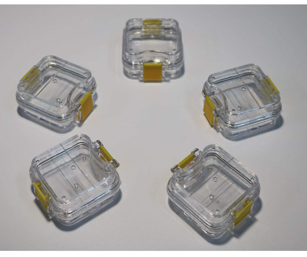 50-Pack Dental Tooth Boxes with Film - Denture Storage Containers for Lab Supplies & Teeth Protection | Ideal for Dental Clinics, Laboratories & Home Use