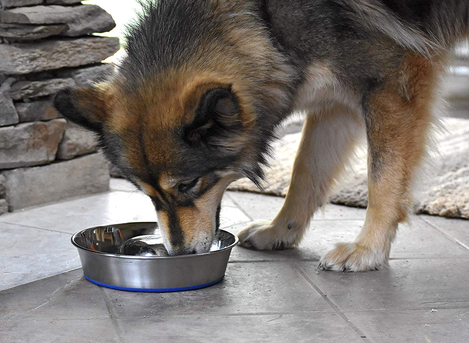 DuraPet Slow Feed Stainless Steel Dog Bowl for Small & Large Dogs - Anti-Gulping Pet Food Bowl for Fast Eaters - Silver (2040010301) - Perfect for Mealtime Portion Control & Digestive Health