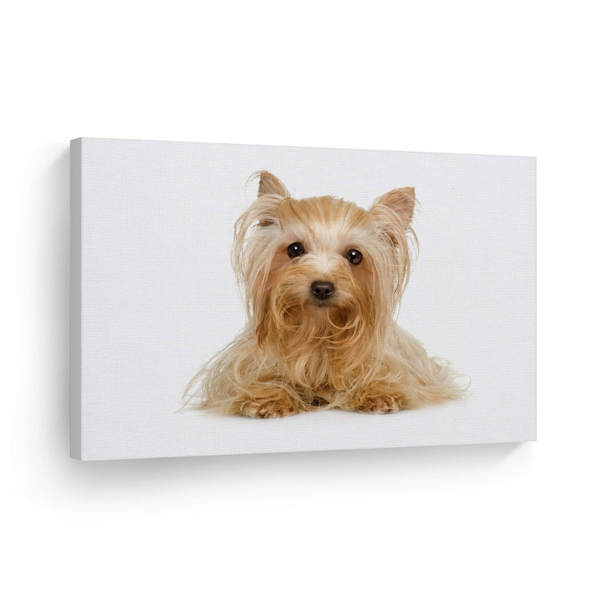 Smile Art Design Cute Yorkie Yorkshire Terrier Dog Portrait - Woodland Animal Wall Art Canvas Print for Pet Lovers (30x40 Inch Rolled) - Perfect Gift for Dog Owners, Mom, Dad & Nursery Room Decor