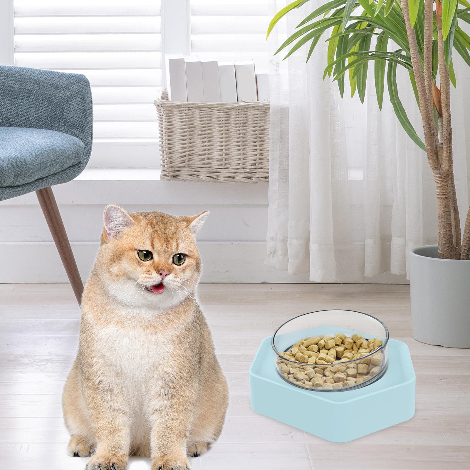 Enakshi Stainless Steel Dog Bowl - Durable Pet Food & Water Dish for Small & Medium Dogs & Kittens - Non-Slip Base, Easy Clean - Perfect for Home, Travel & Outdoor Use - Blue Pet Supplies