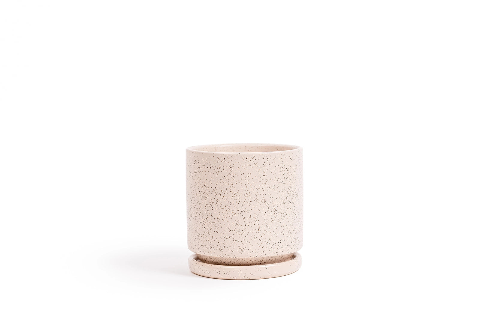 Premium White Sesame Cylinder - 4 Inch Natural Sesame Seeds for Baking, Cooking & Snacking - Perfect for Bread, Salad, Sushi & Asian Cuisine