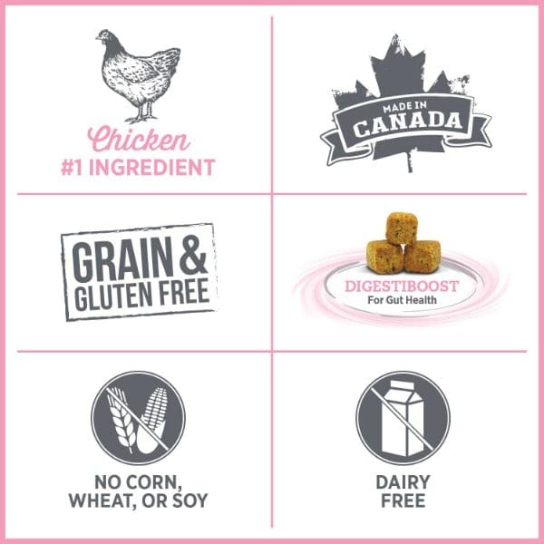 Nutrience Care+ Urinary Health Dry Cat Food for Adult Cats - High Protein, Low Magnesium Formula - Supports Kidney & Bladder Health - Ideal for Indoor Cats & Urinary Tract Issues