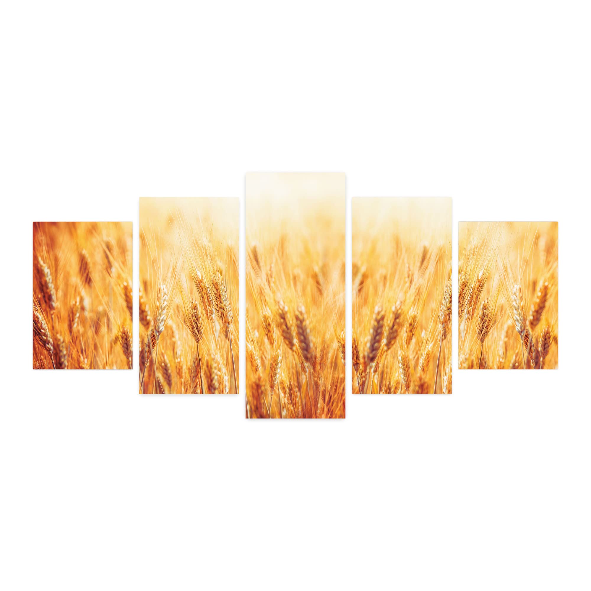 Ambesonne Country 5-Panel Acrylic Glass Wall Art - Rustic Wheat Field Closeup with Blur Effect, Nature-Inspired Home Decor for Living Room, Bedroom & Dorm (60