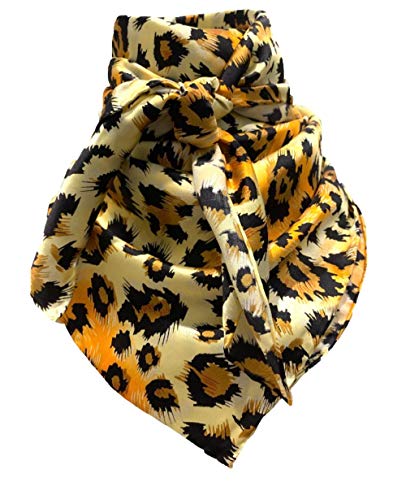 Cheetah #7