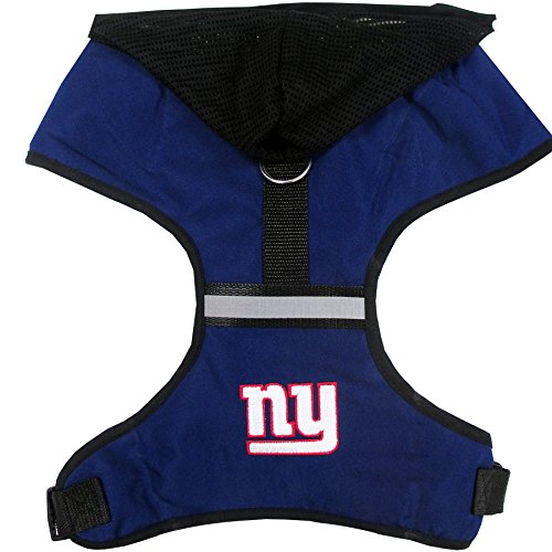 New York Giants