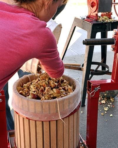 12L (3.17 Gallon) Solid Wood Fruit Wine Press with Handle - Stable Vintage Cider Press for Apples, Grapes & Berries - Perfect for Homemade Juice, Wine Making & Farmhouse Kitchen Use