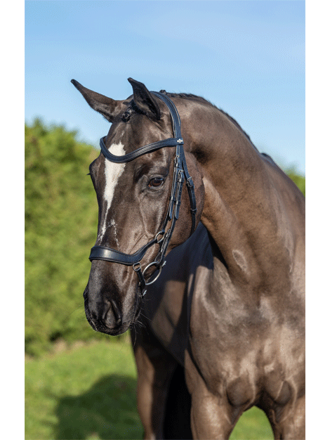 Le Mieux Arika Drop Bridle - Premium Horse Bridle for Dressage & Jumping | Comfort Fit for Training & Competition
