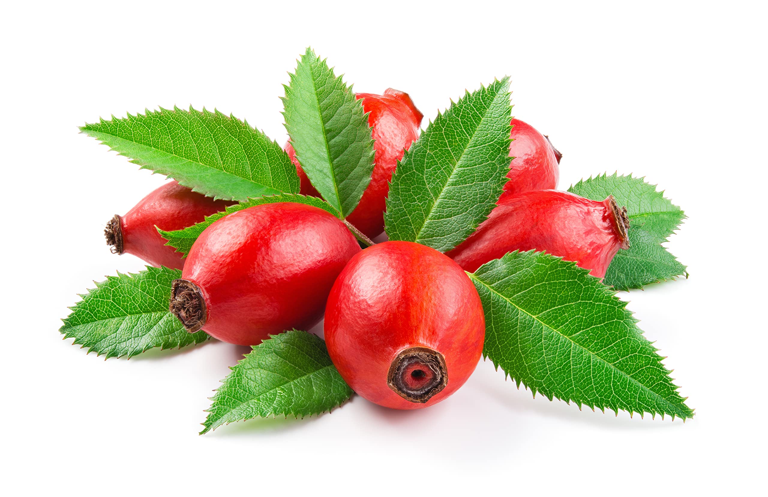 OPO Rosehip Oil - 8 oz - Pure, Unrefined, Non-GMO, Cold Pressed Vegan Carrier Oil for Face, Hair, Skin & Nails | Anti-Aging Solution for Body, Beard, Locs, Mustache & Eyelashes | Natural Skincare & Haircare | Packaging May Vary | Perfect for Daily Moisturizing & Nighttime Skin Repair