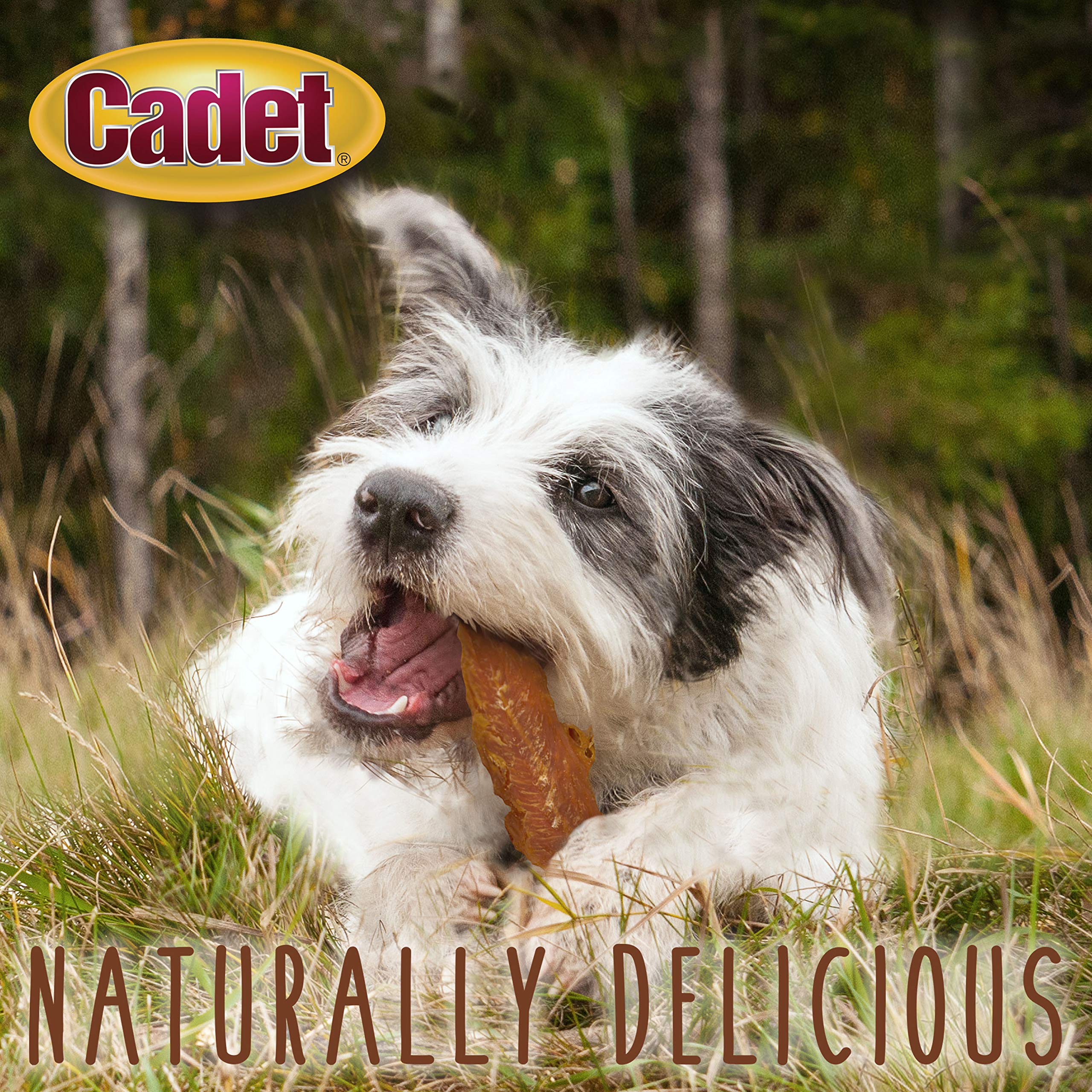 Cadet Gourmet Chicken Breast Dog Treats - All-Natural, High-Protein Dog Snacks for Training & Rewards - Perfect for Small, Medium & Large Breeds