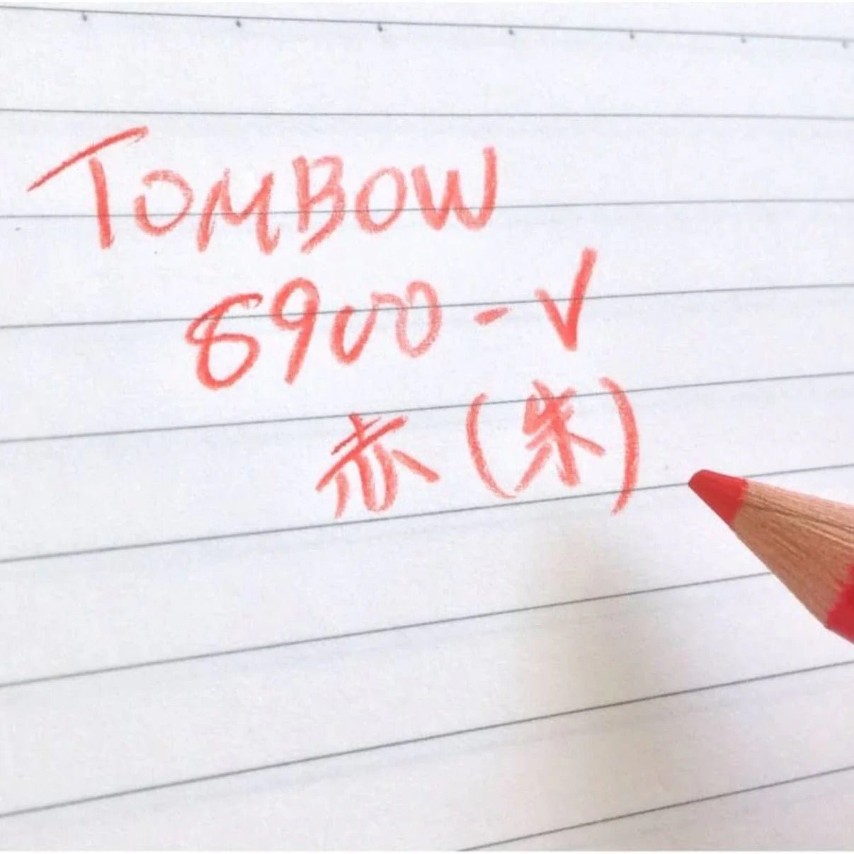 8900 Red & Blue Wooden Pencils - 1 Dozen Packs (12 Pack) by Tombow - Premium Quality for School, Office & Art Projects - Bulk Colored Pencils for Writing, Drawing & Coloring