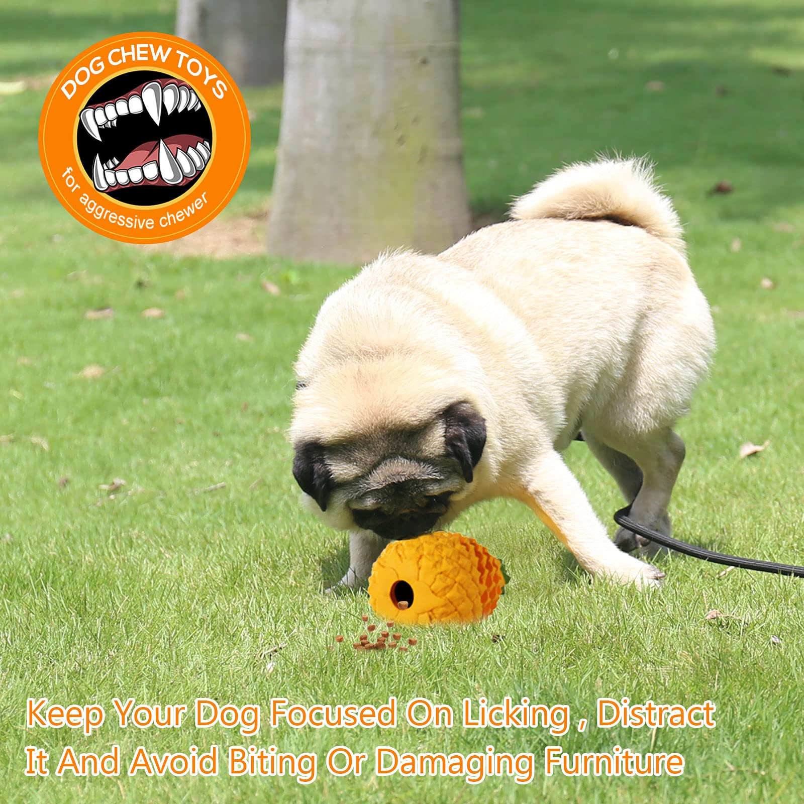 Durable Puppy Chew Toys for Small Dogs 5-30 lbs - Tough Indestructible Dental Chew Toys for Moderate Chewers - Perfect for Teething, Boredom Relief & Dental Health (XSmall Size)