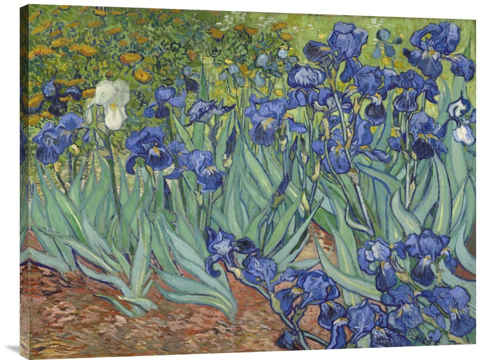Vincent Van Gogh Irises 1889 Canvas Art Print - Handmade Oil Painting Reproduction on Stretched Canvas - Perfect for Living Room, Bedroom & Office Wall Decor