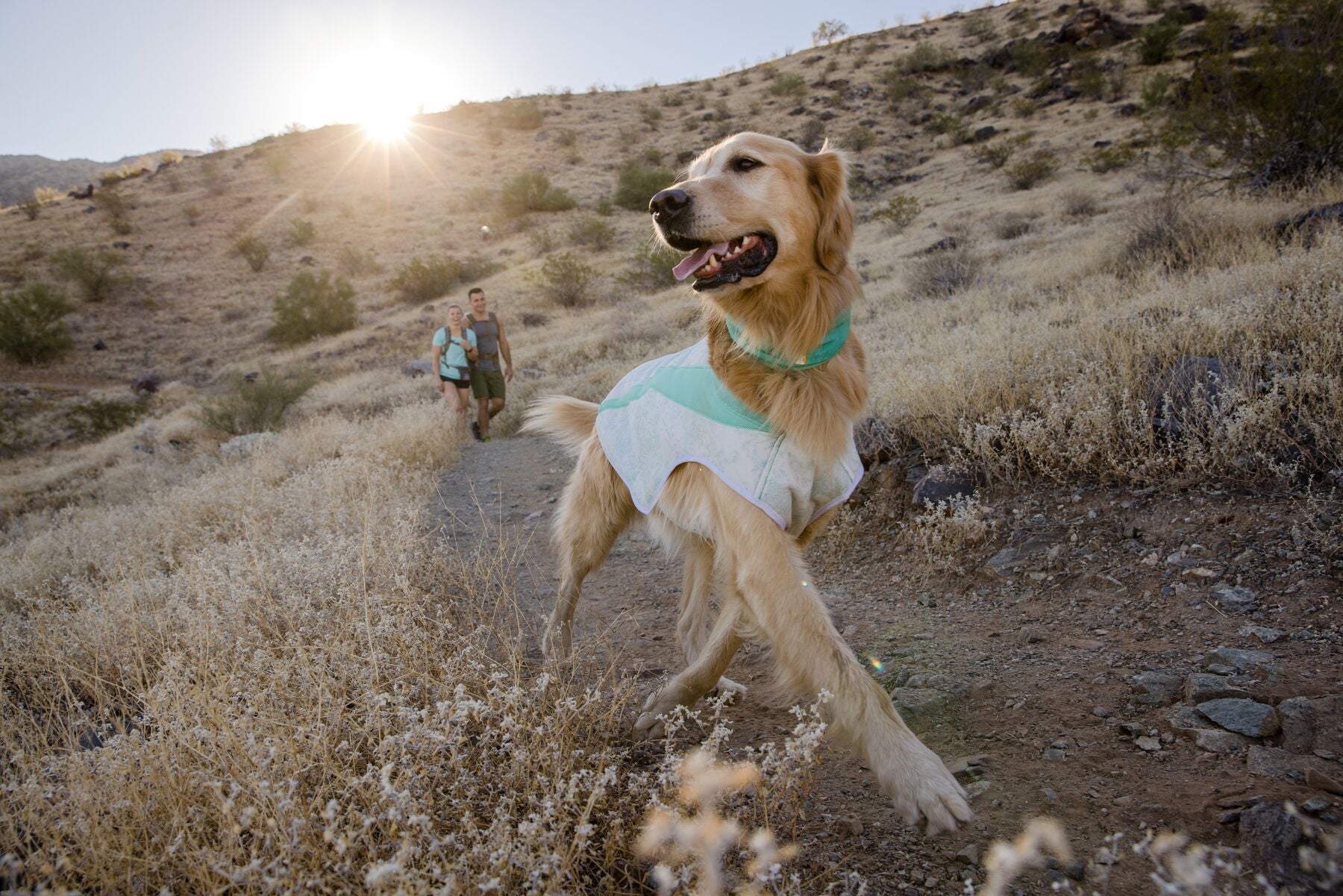 Ruffwear® Swamp Cooler Vest - Mint Green Cooling Vest for Dogs | Perfect for Hiking, Running & Hot Weather Outdoor Activities