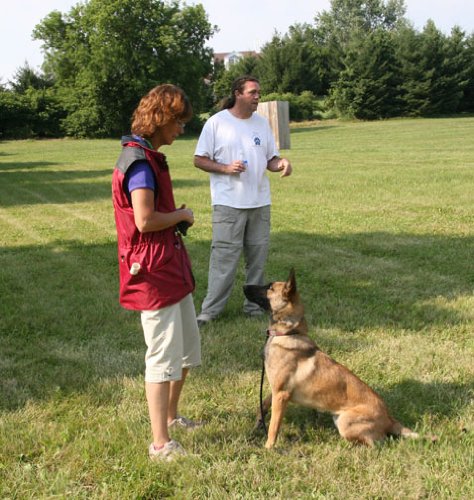 Best Dog Training Treats for Obedience & Behavior - High-Reward Food for Puppy & Adult Dogs - Perfect for Home, Park & Professional Training Sessions