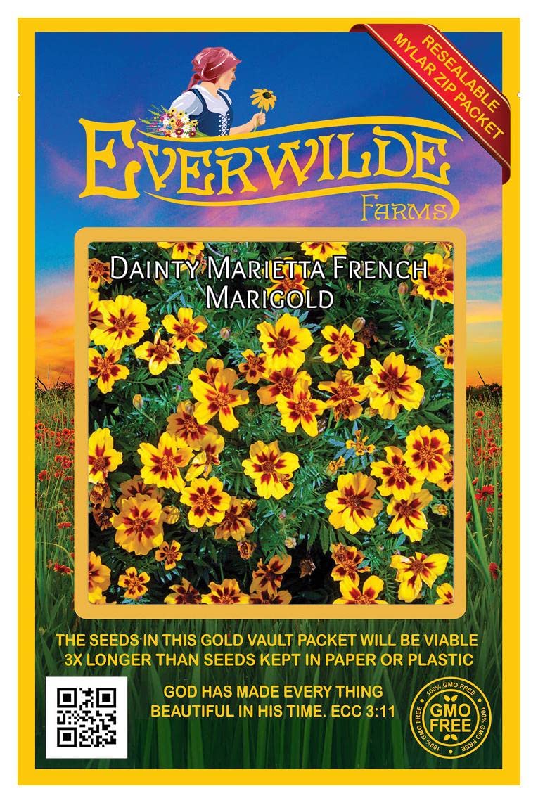 500 Dainty Marietta French Marigold Wildflower Seeds - Premium Gold Vault Jumbo Seed Packet by Everwilde Farms - Perfect for Home Gardens, Landscaping & Pollinator-Friendly Planting