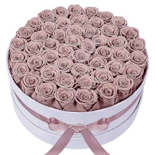 Dusty Rose