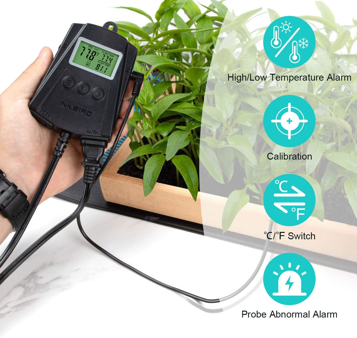 IPT 2CH Dual Channel Digital Temperature Controller - Precise Thermostat for Home Brewing, Aquariums & Reptile Tanks