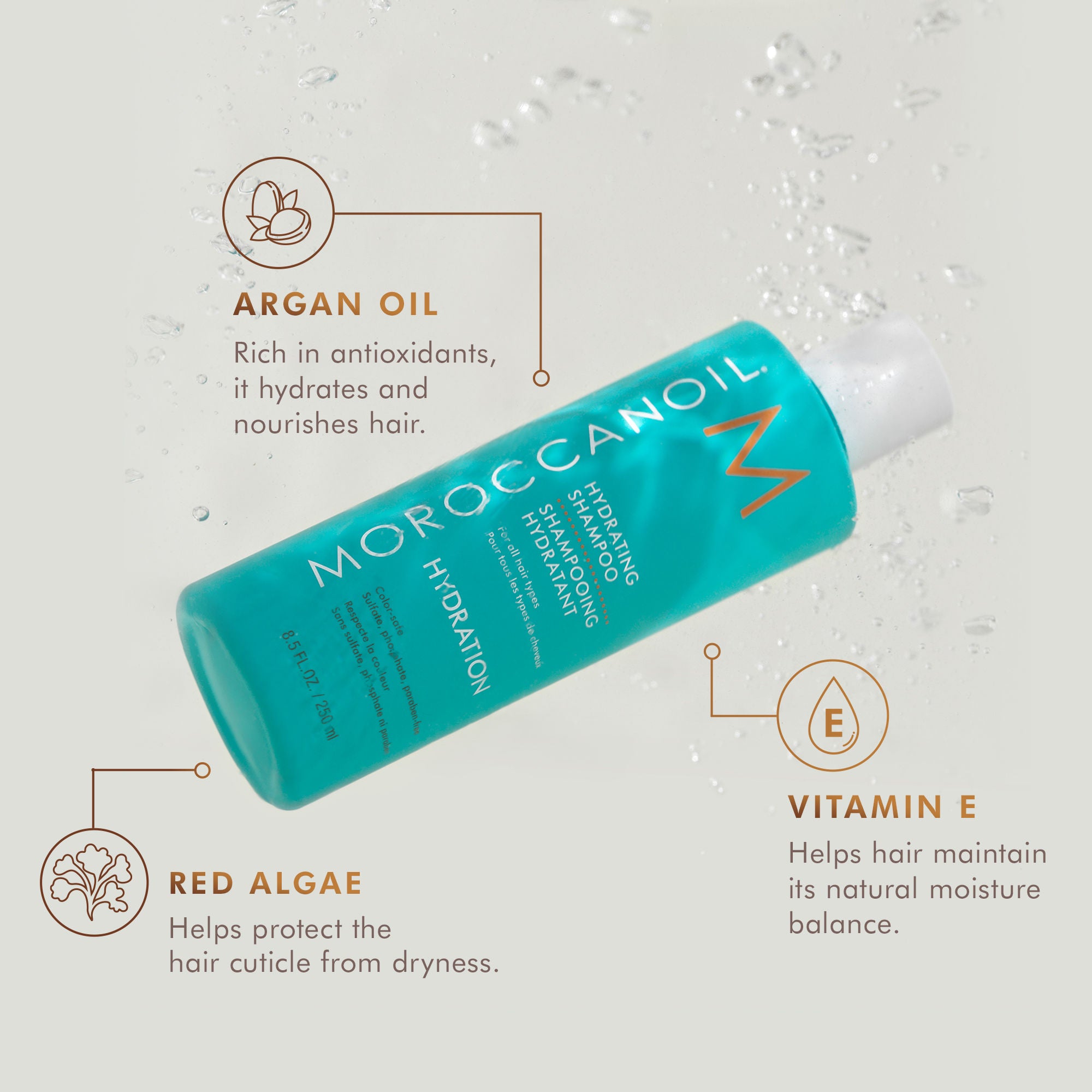 Hydrating Shampoo for Dry Damaged Hair - Moisturizing & Repairing Hair Care - Perfect for Daily Use & Color-Treated Hair