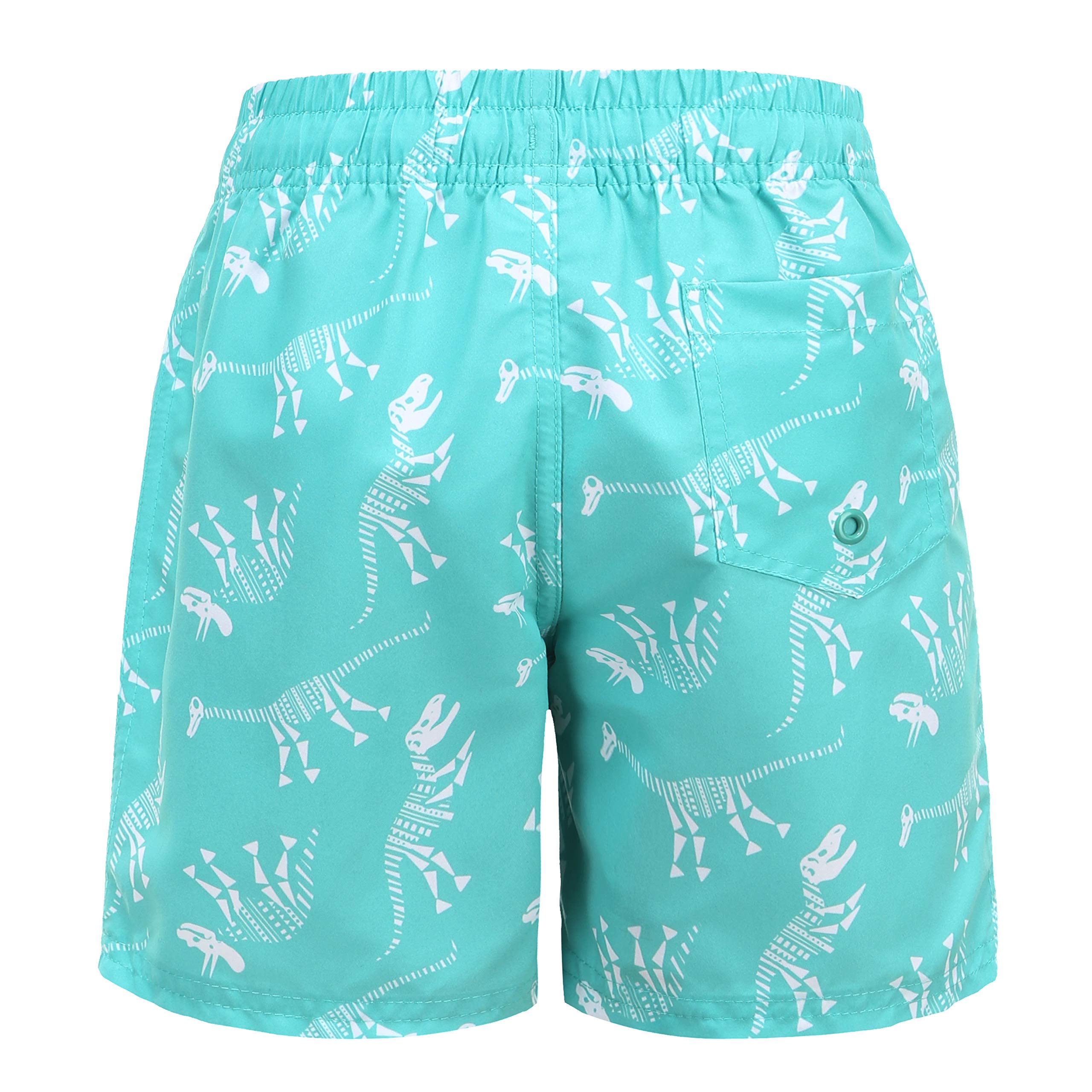 HowJoJo Boys' Dinosaur Swim Trunks - Quick Dry 3D Printed Swim Shorts with UPF 50+ Sun Protection - Perfect for Beach, Pool, and Summer Water Activities