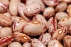 Organic Pinto Beans 25lb Bulk - Non-GMO, Gluten-Free, High Protein - Perfect for Cooking, Meal Prep & Healthy Recipes
