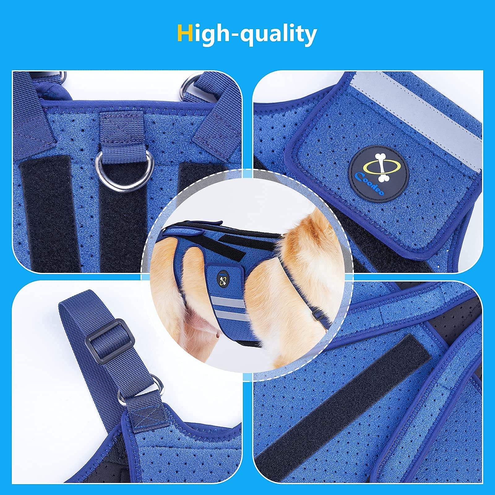 Coodeo Dog Back Brace for Arthritis & IVDD - Pain Relief, Surgical Recovery & Rehabilitation Support - Small Size for Pet Back Protection - Ideal for Post-Surgery Care & Mobility Support