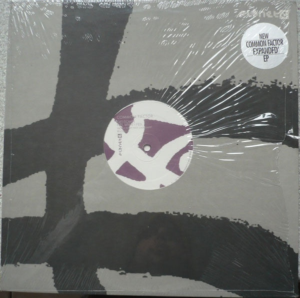Common Factor – Expanded EP 12 Planet E (PE65242) | Electronic Music Vinyl Record for DJs & Collectors – Perfect for Clubs, Home Listening & Music Production