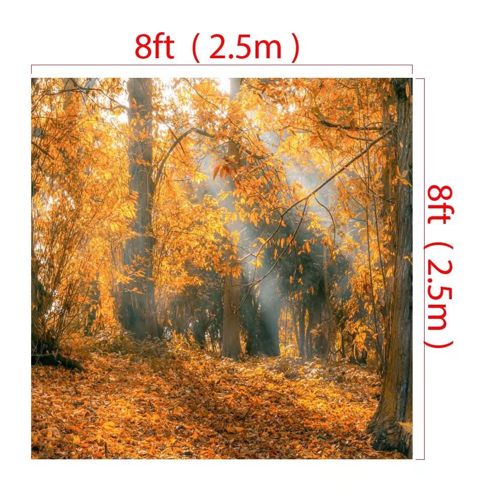 Autumn Forest Backdrop 8x8ft - Fall Photography Background for Outdoor & Studio Shoots