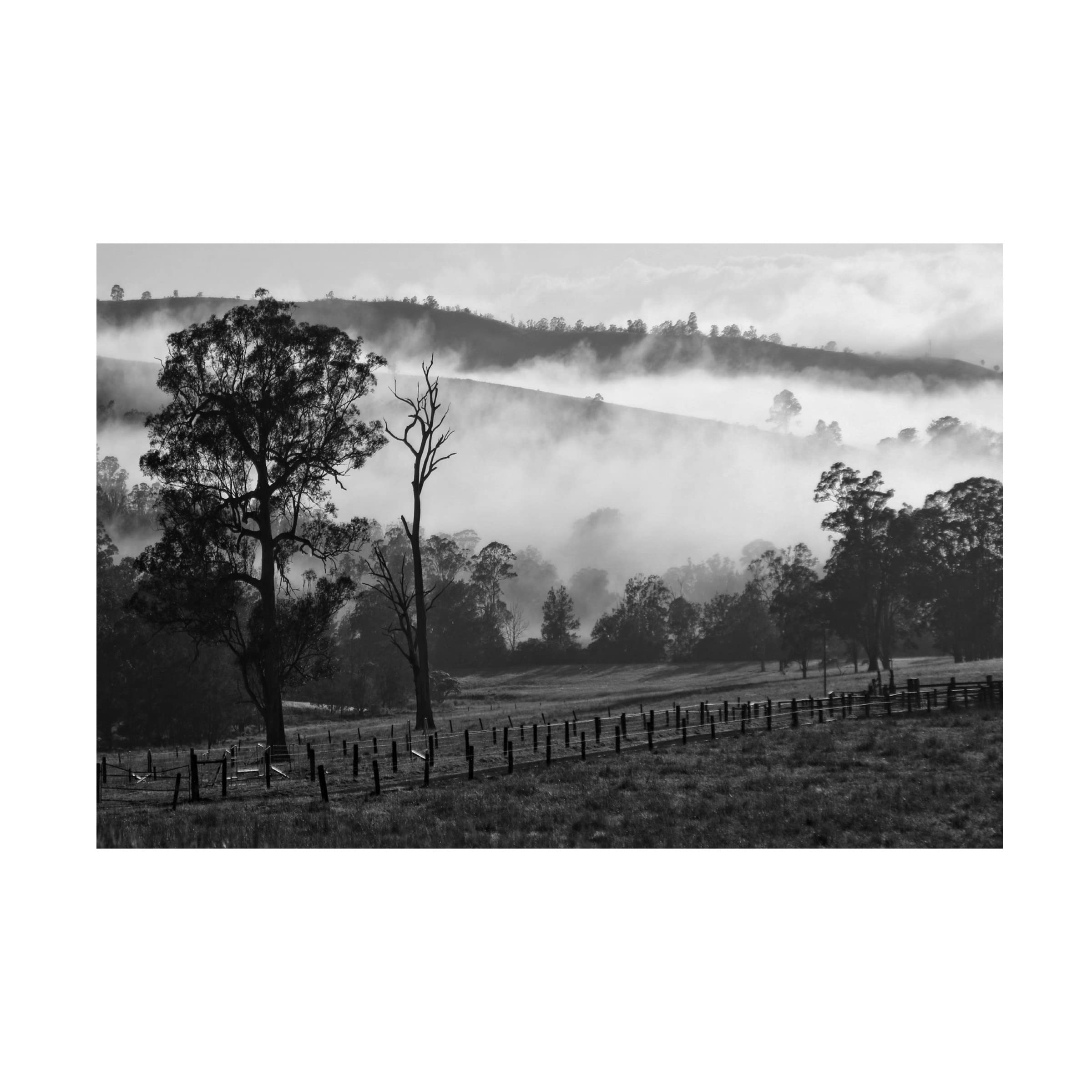 Trademark Fine Art 'Foggy Mood 4' Canvas Wall Art Print by Beata Czyzowska Young - Modern Abstract Landscape Painting for Living Room, Bedroom & Office Decor