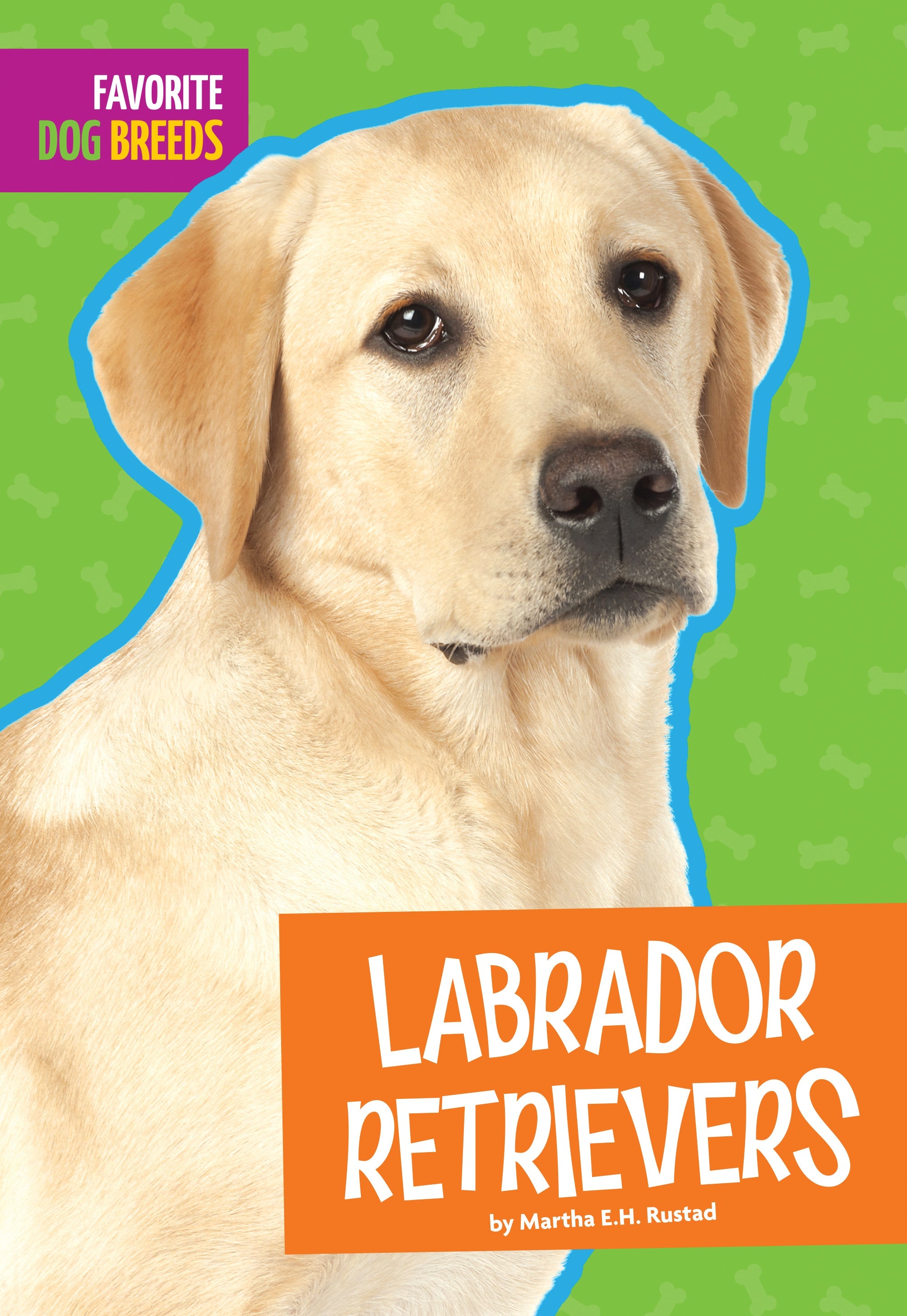 Best Labrador Retriever Puppies for Sale | AKC Registered Family Dogs for Hunting & Companionship | Perfect for Active Families, Outdoor Adventures & Service Training