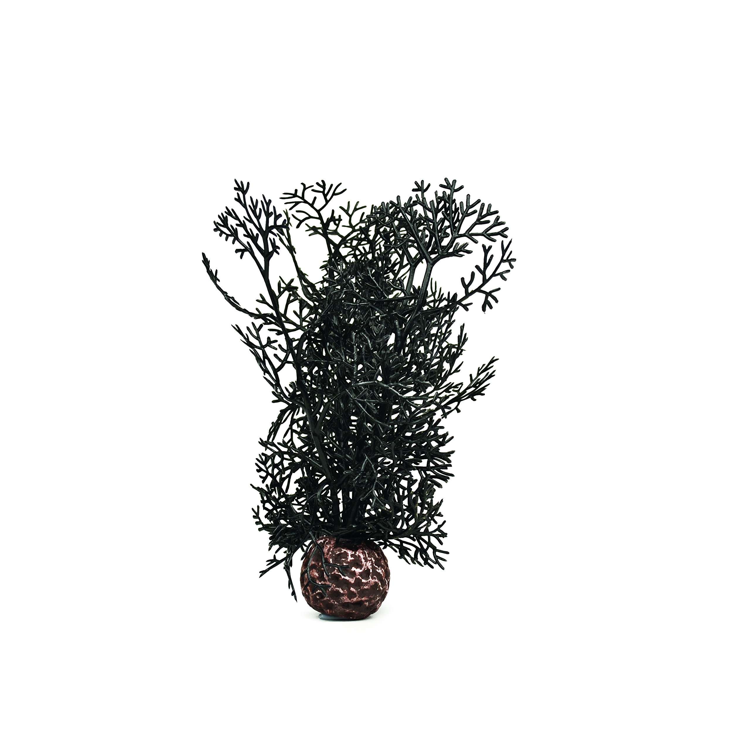 BiOrb 46093.0 Sea Fan Small Black Aquarium - Compact Saltwater Fish Tank for Home & Office Decor | Perfect for Marine Life Enthusiasts