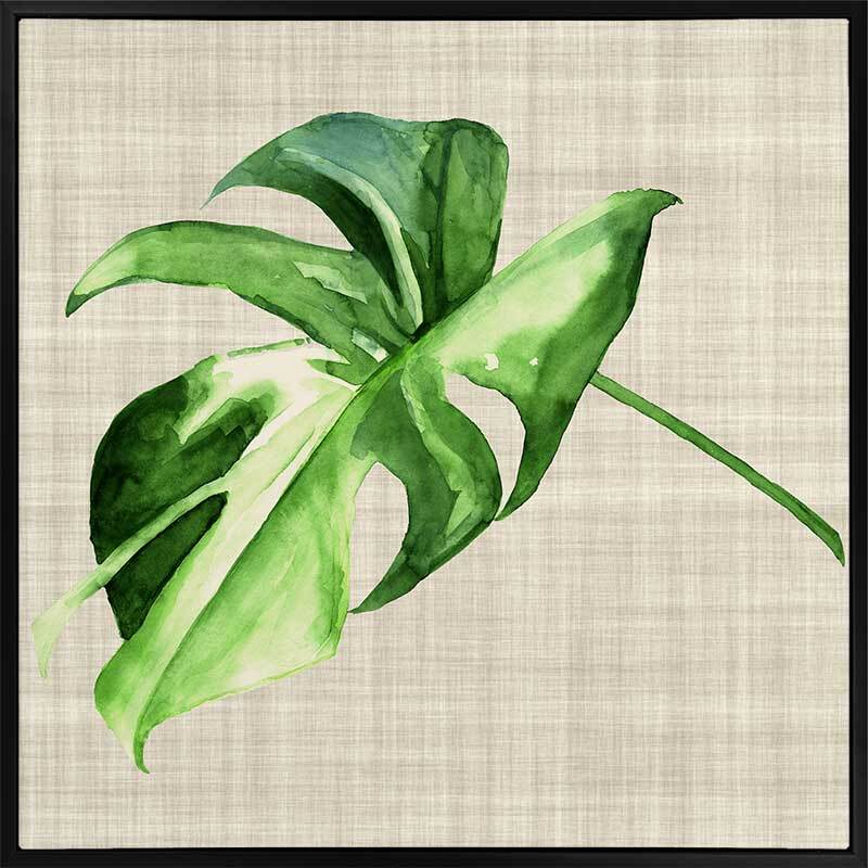 Beautiful Araceae Canvas Art Print - Tropical Plant Wall Decor for Living Room, Bedroom & Office - Perfect Gift for Home & Interior Design Lovers