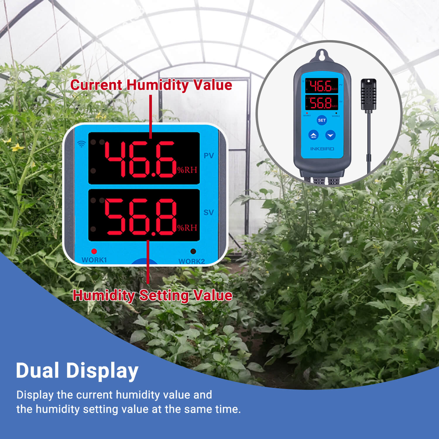 Smart WiFi Humidity Controller IHC 200 - Digital Hygrometer & Thermostat for Home, Greenhouse, and Wine Cellar Climate Control