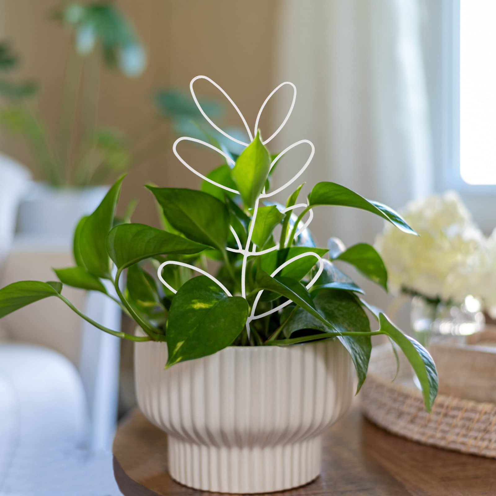 2 Pack White Leaf-Shaped Iron Trellis for Potted Plants - Garden Plant Support for Climbing Vines, Flowers & Vegetables - Indoor/Outdoor Use for Balcony, Patio & Backyard Gardening