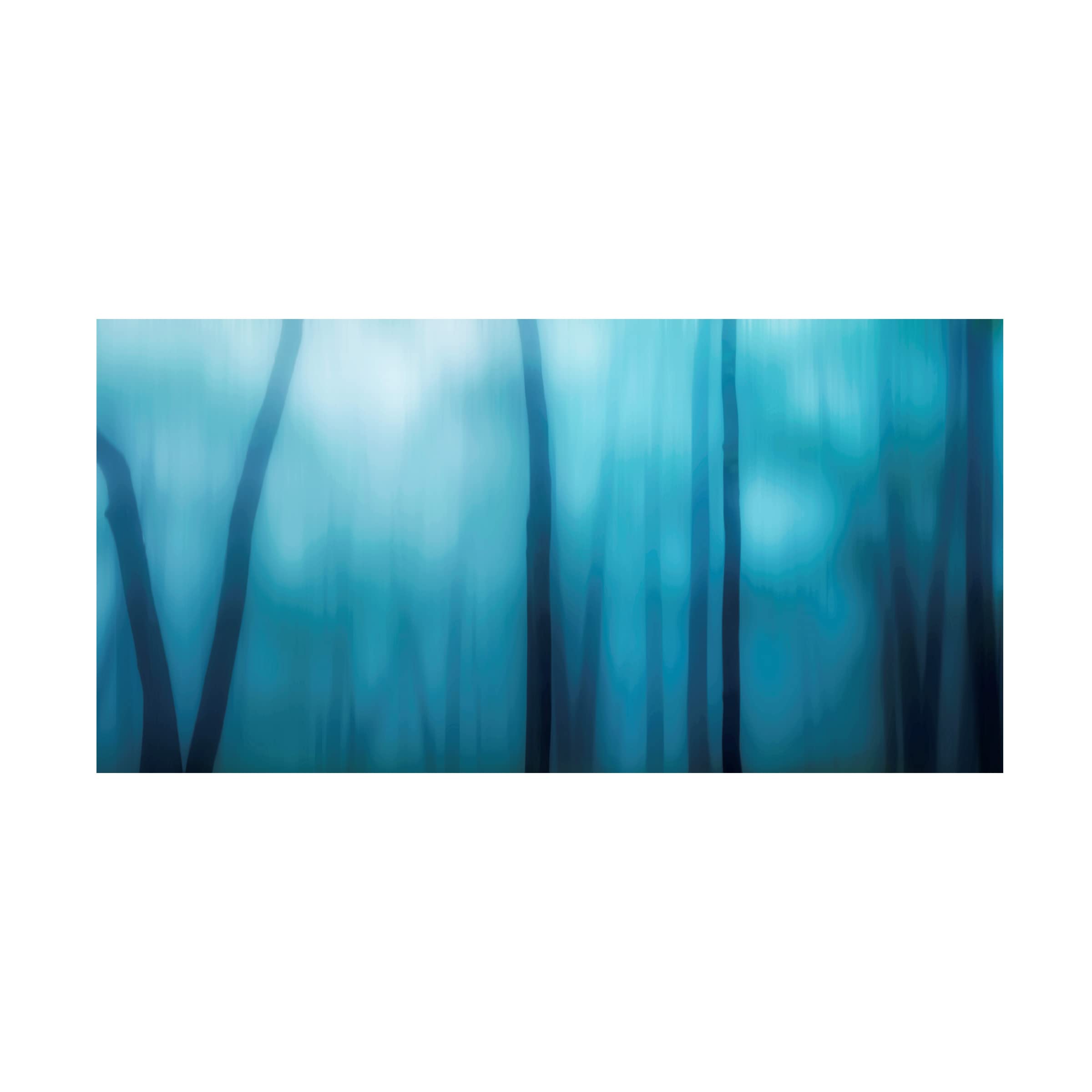 Trademark Fine Art 'Harriman Woods I' Canvas Wall Art by James McLoughlin - Nature Landscape Painting for Living Room, Bedroom & Office Decor