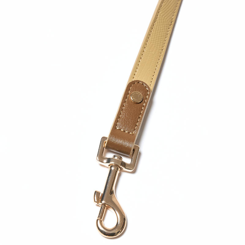 Hands Free Dog Leash - Adjustable Waist Leash for Walking, Running & Hiking - Comfortable No Pull Bungee Lead for Small Medium Large Dogs - Perfect for Outdoor Adventures & Daily Walks
