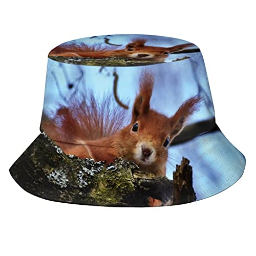Squirrel 08