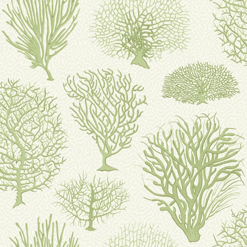 Cole and Son Seafern Wallpaper - Premium British Designer Wallpaper for Living Room, Bedroom & Dining Room Decor