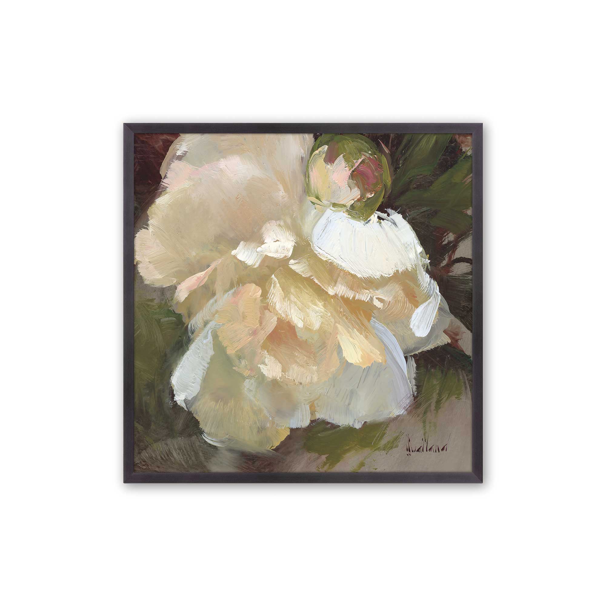 Graceful White Peony Bloom II Print - Elegant Floral Wall Art for Home Decor, Living Room, Bedroom & Office